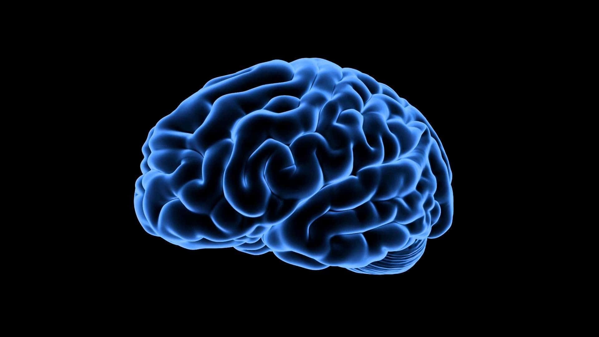 Imagem 3D de cérebro humano em azul — referência a pesquisa em neurodivergência